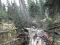 IMG_4992.JPG