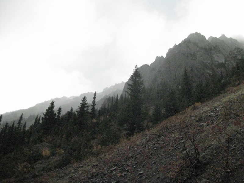 IMG_5055.JPG