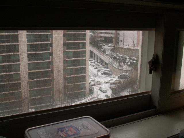 PICT0956.JPG