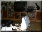 PICT0961.JPG