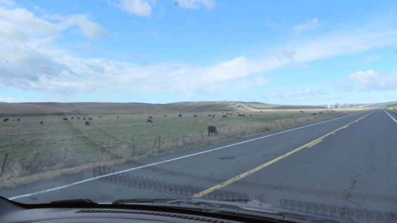 DSCN2159.JPG