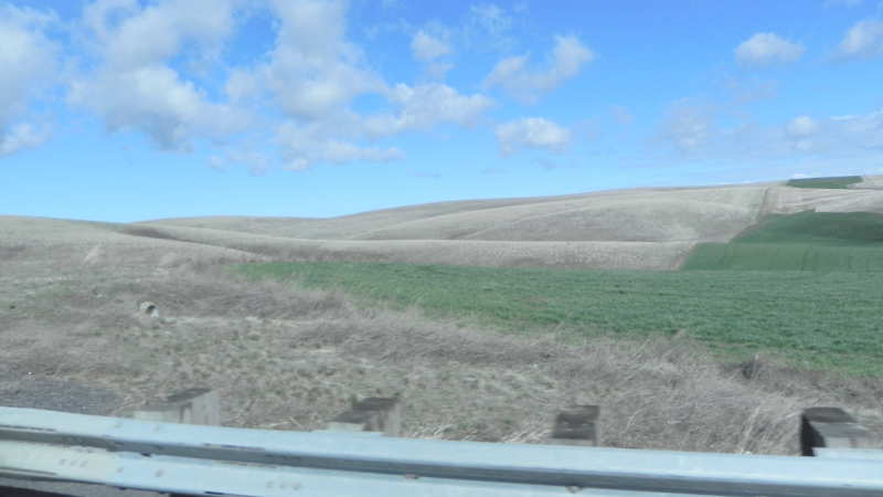 DSCN2161.JPG