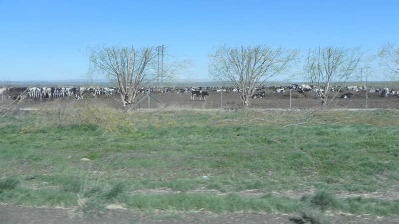 DSCN2170.JPG