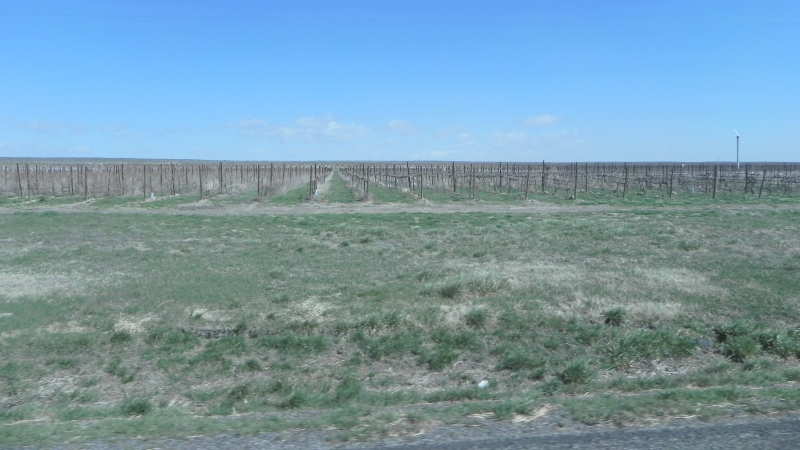 DSCN2174.JPG