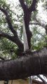20150420_115736.jpg