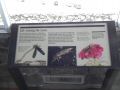 DSCN5492.JPG