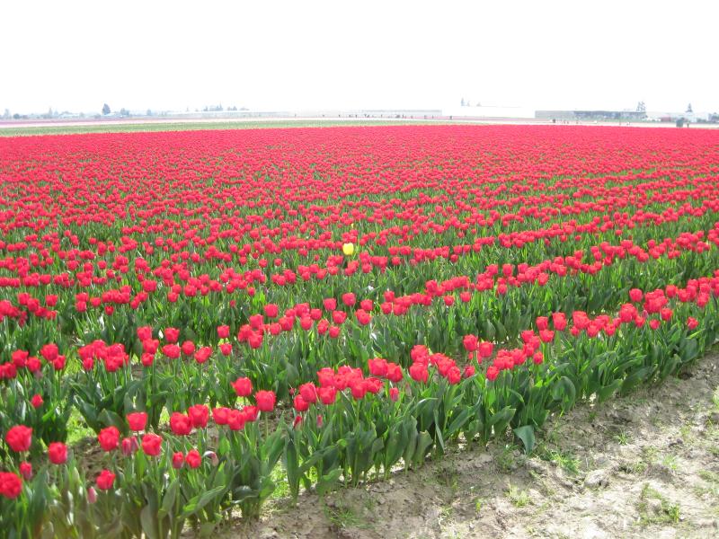 IMG_5588.JPG