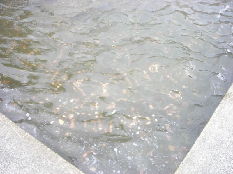 DSCN9802.JPG