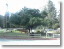 park2.JPG