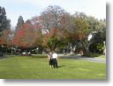 park4.JPG