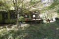 DSCN0806.JPG