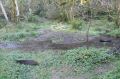 DSCN0877.JPG