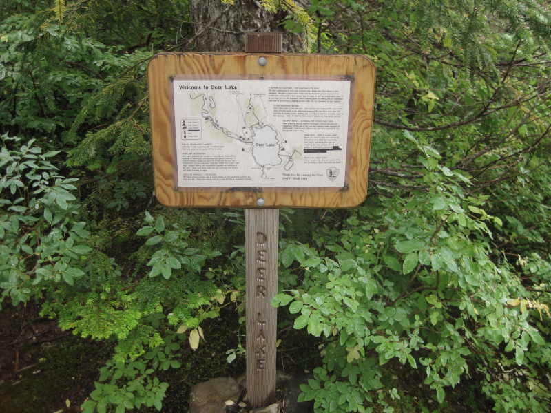 IMG_4171.JPG