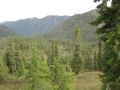 IMG_4200.JPG