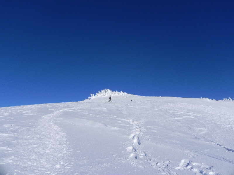 DSCN1343.JPG