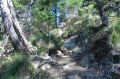 DSCN0914.JPG
