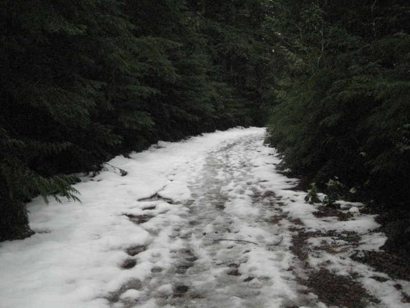 IMG_5852.JPG