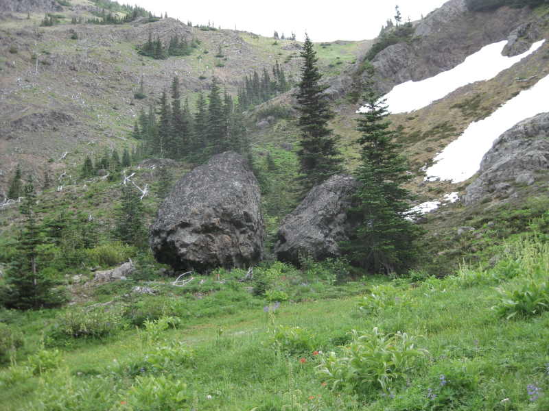 IMG_3740.JPG
