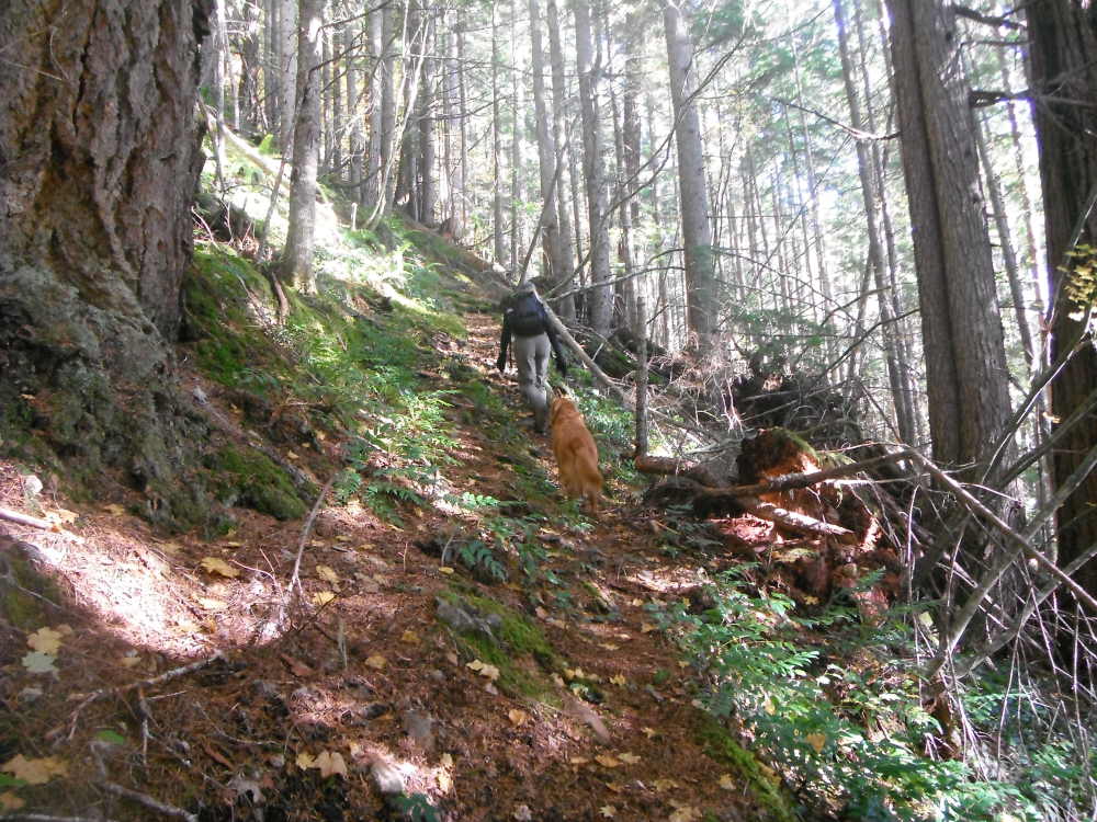 DSCF4645.JPG