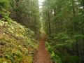 DSCF4013.JPG