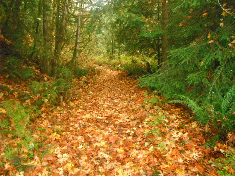 DSCF4721.JPG