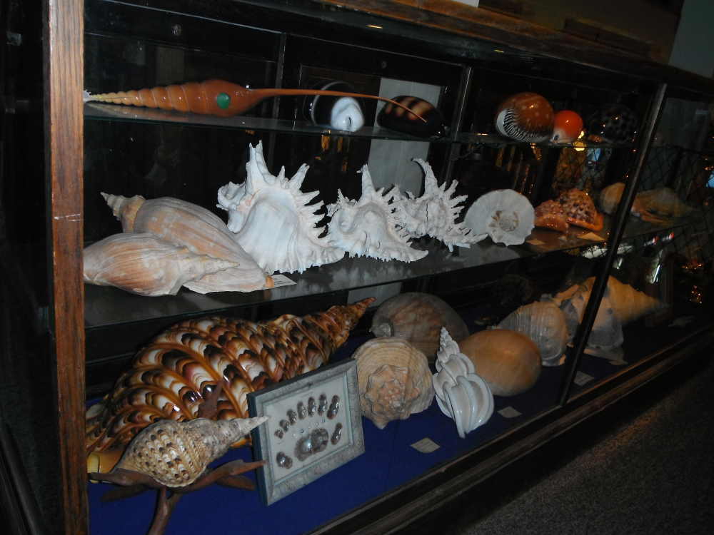DSCF4913.JPG