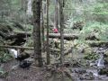 IMG_6029.JPG