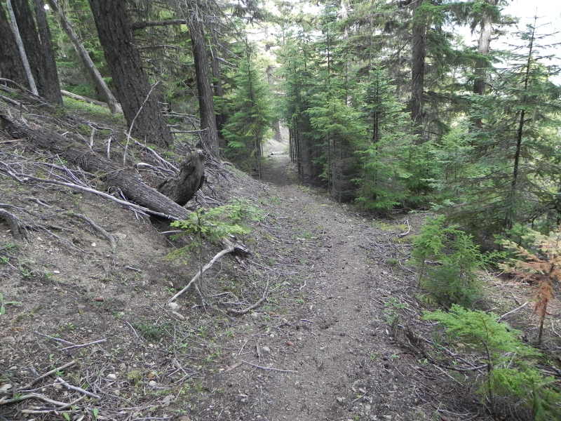 DSCN3907.JPG