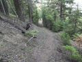 DSCN3907.JPG