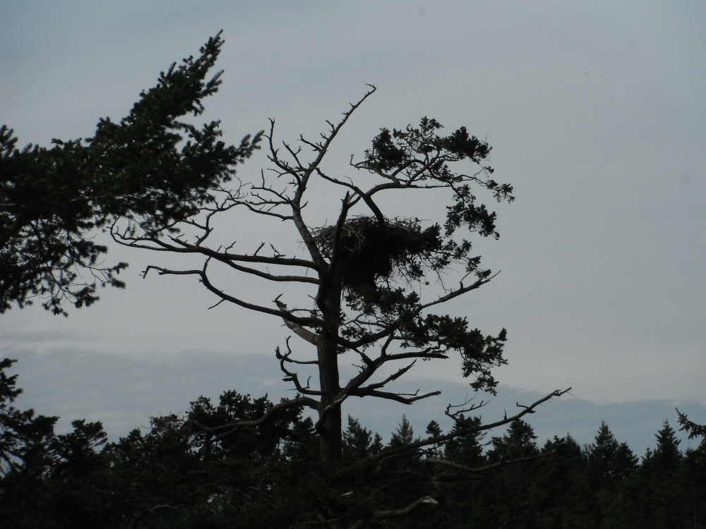 DSCF6200.JPG