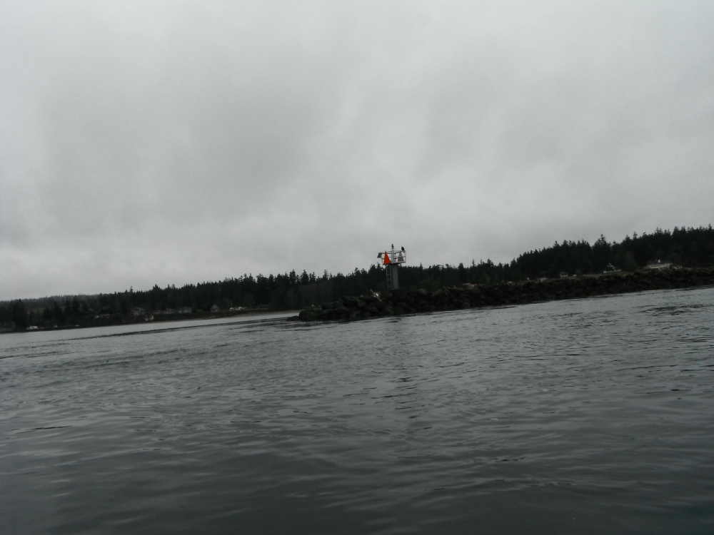 DSCF7393.JPG