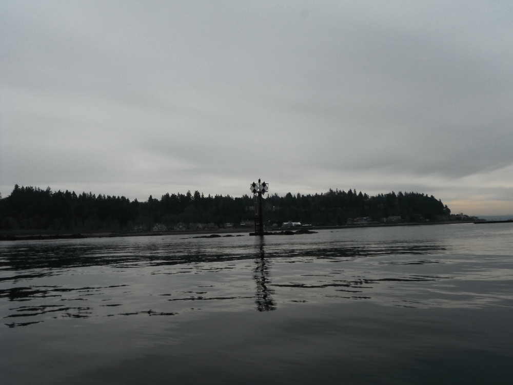 DSCF7564.JPG