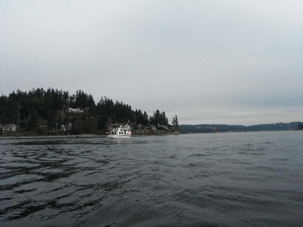 DSCF7583.JPG