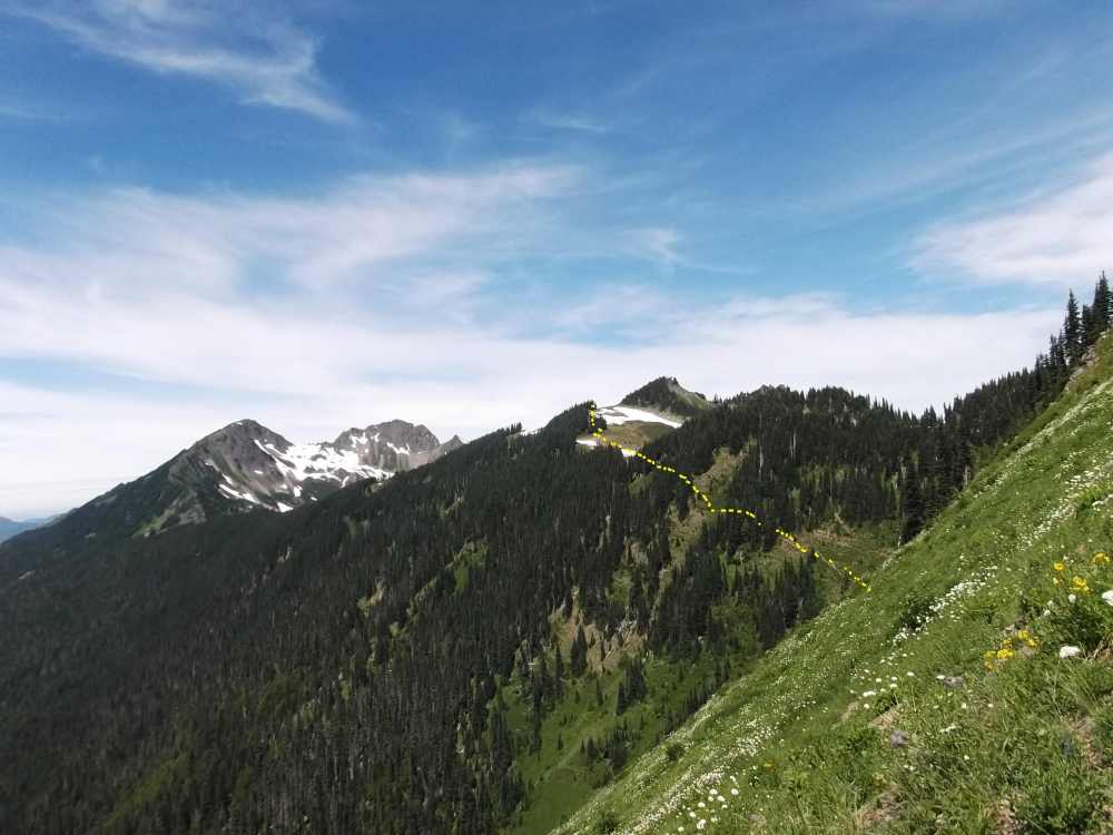 DSCF2779a.JPG