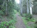 DSCN5131.JPG