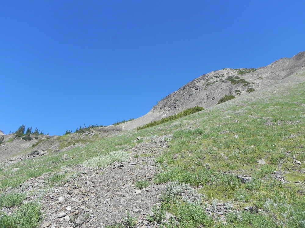 DSCN5627.JPG